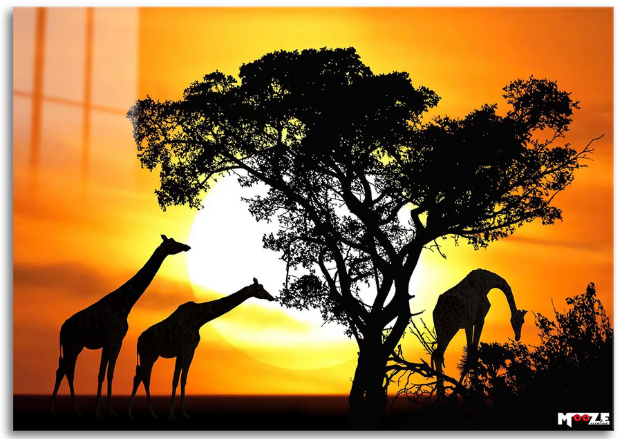 Afrika Akşamı: Zürafa Silueti