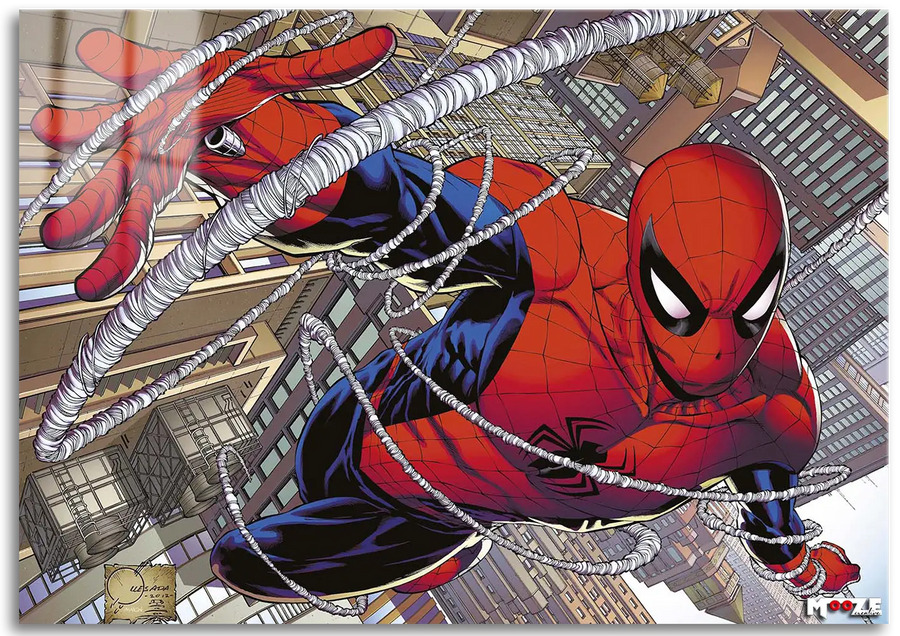 Ağ Atışı: Klasik Spidey