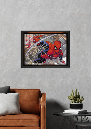 Ağ Atışı: Klasik Spidey