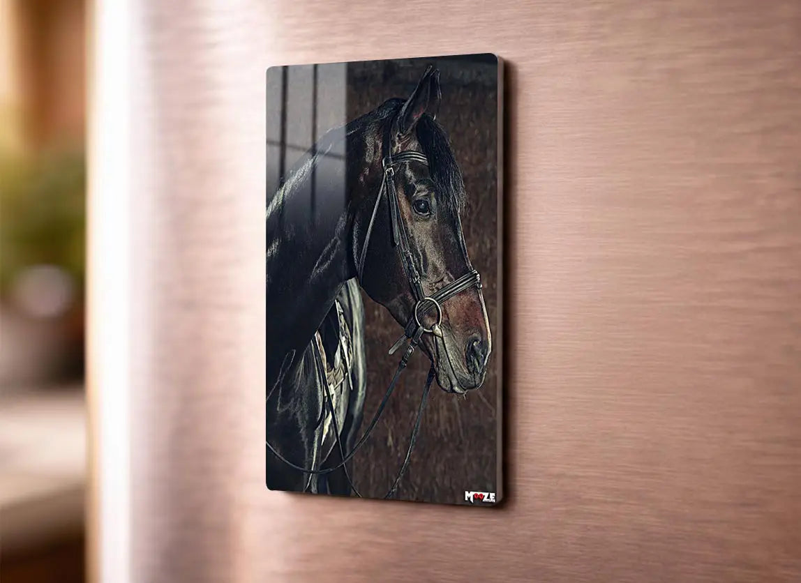 Ahırın İncisi: Siyah At Magnet