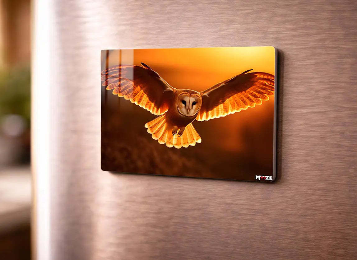 Alev Kanatlar: Baykuş Uçuşu Magnet