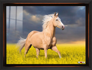 Altın Yele: Palomino Atı