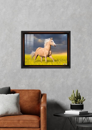 Altın Yele: Palomino Atı