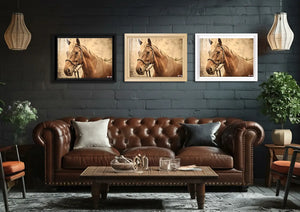 Asil Duruş: Vintage At Portresi