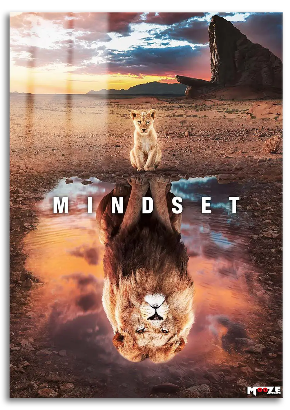 Aslan Zihniyeti: Yansıma