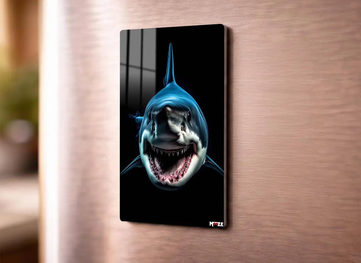 Avcı Dişleri: Köpekbalığı Magnet