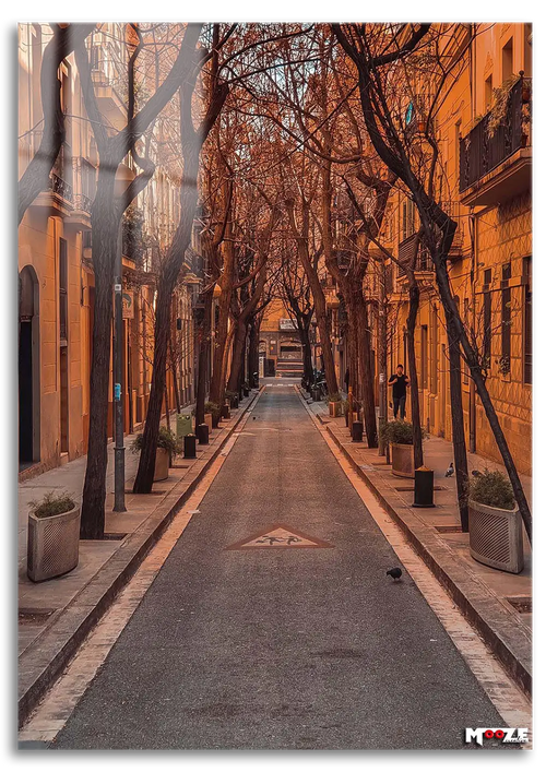 Avrupa Sokağı: Sonbahar Hüznü