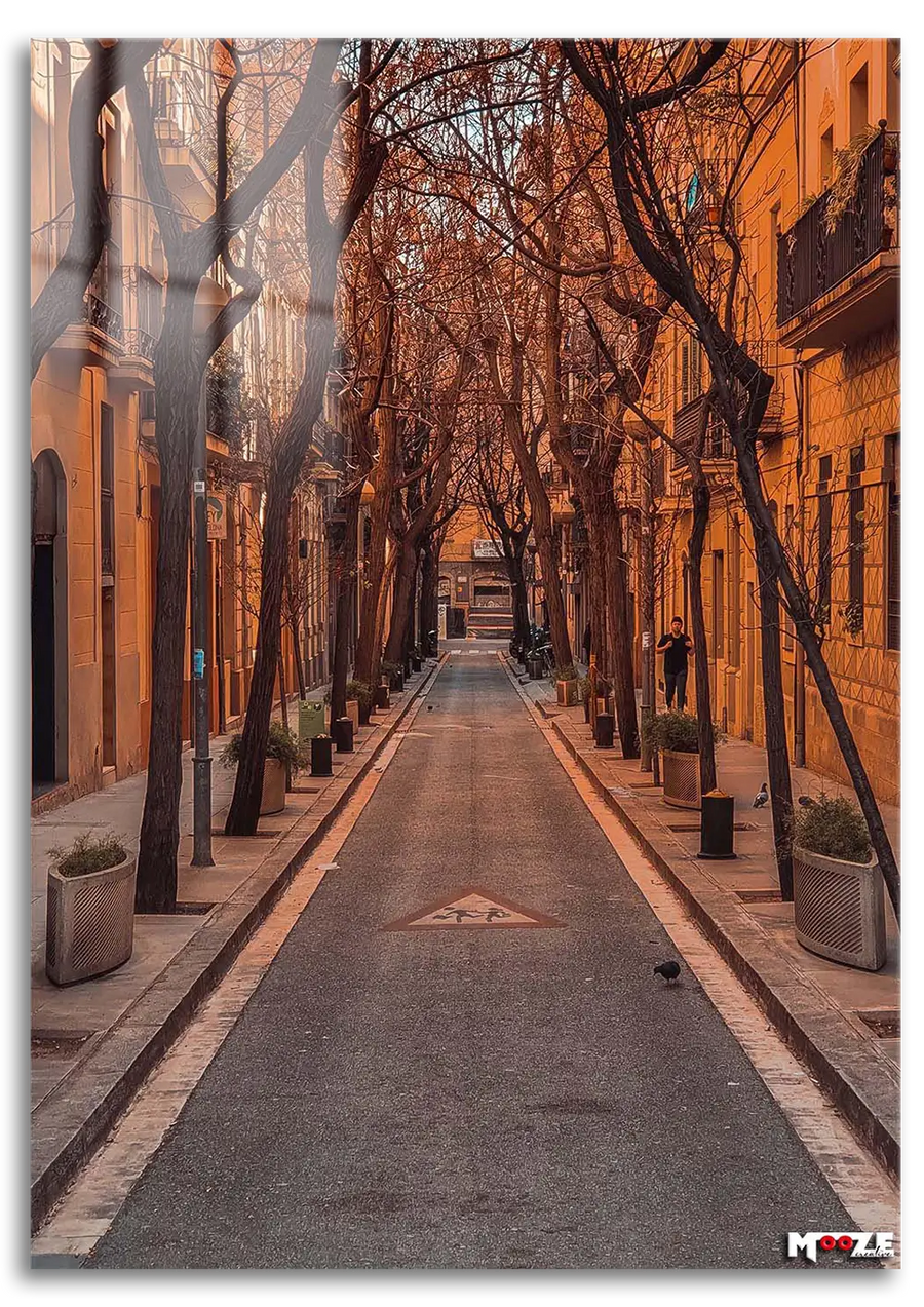 Avrupa Sokağı: Sonbahar Hüznü
