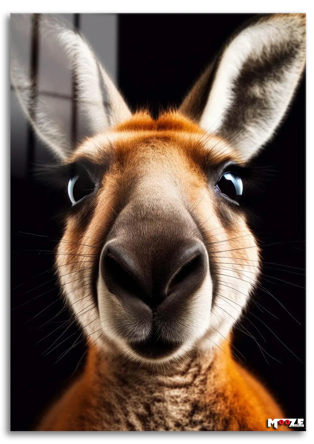 Avustralya Bakışı: Kanguru