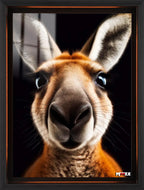 Avustralya Bakışı: Kanguru