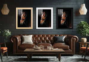 Beyaz Şerit: Kahverengi At