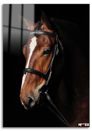 Beyaz Şerit: Kahverengi At