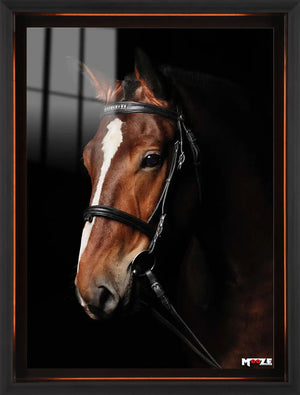 Beyaz Şerit: Kahverengi At