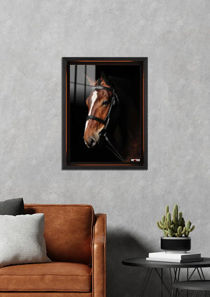 Beyaz Şerit: Kahverengi At