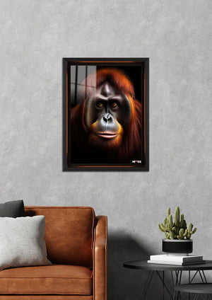 Bilge Bakış: Orangutan