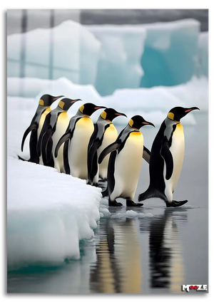 Buz Yürüyüşü: Kral Penguenler