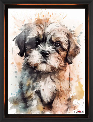 Ciddi Minik: Shih Tzu