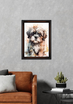 Ciddi Minik: Shih Tzu