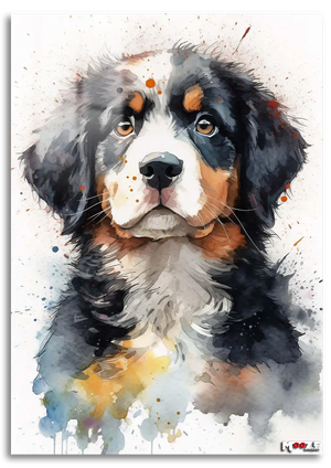 Dağ Çocuğu: Bernese