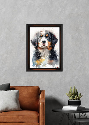 Dağ Çocuğu: Bernese