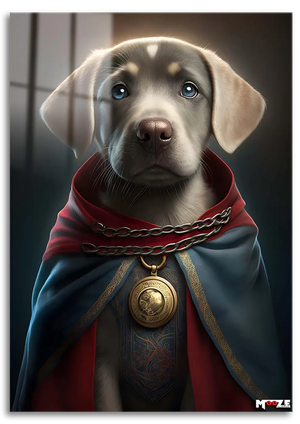 Doctor Strange: Labrador Retriever