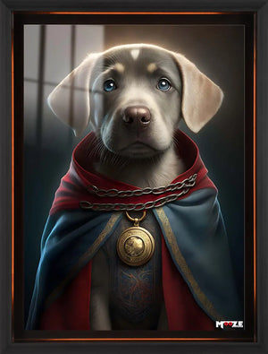 Doctor Strange: Labrador Retriever
