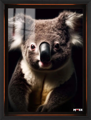 Dramatik Sevimlilik: Koala