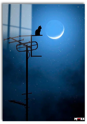 Gece Bekçisi: Ay Işığı