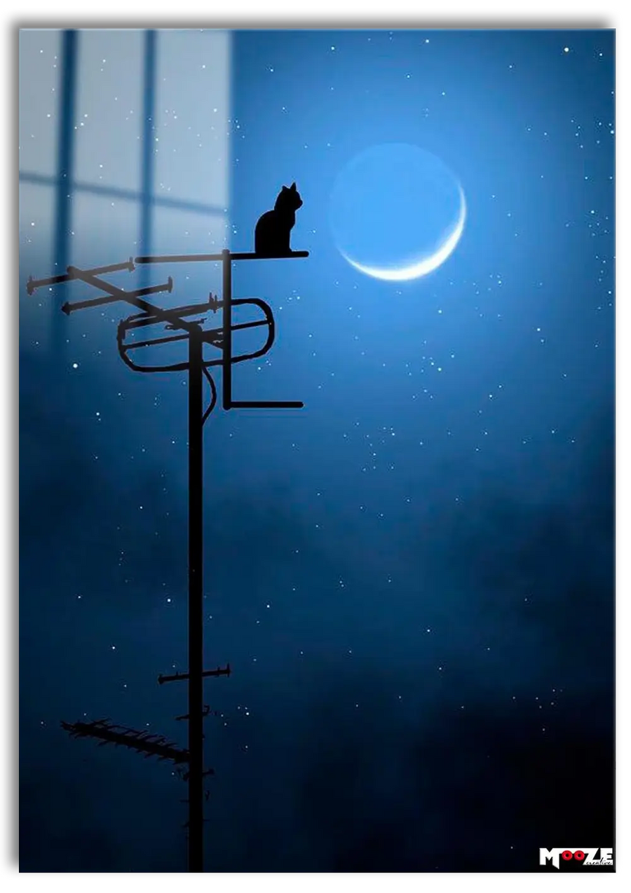 Gece Bekçisi: Ay Işığı