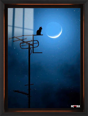 Gece Bekçisi: Ay Işığı