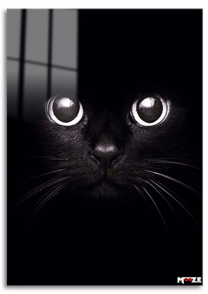 Gece Gözleri: Kara Kedi