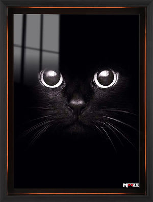 Gece Gözleri: Kara Kedi