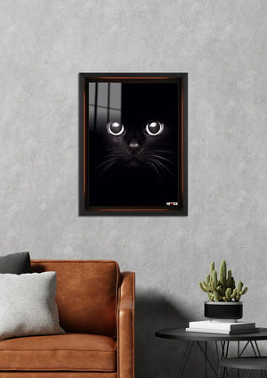 Gece Gözleri: Kara Kedi