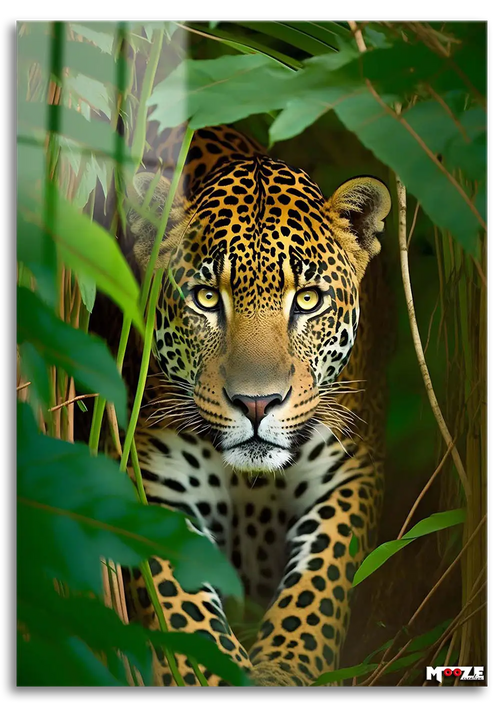 Gizli Bakış: Orman Leoparı