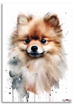 Gülümseyen Tüy: Pomeranian