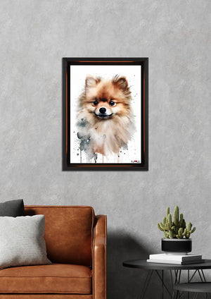 Gülümseyen Tüy: Pomeranian
