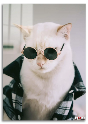 Hipster Kedi: Ekose Gömlek