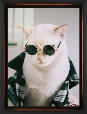 Hipster Kedi: Ekose Gömlek