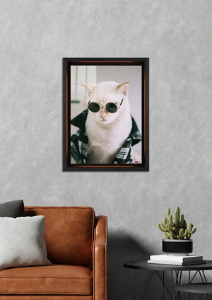 Hipster Kedi: Ekose Gömlek