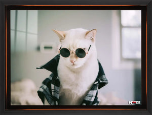 Hipster Kedi: Gözlük ve Gömlek