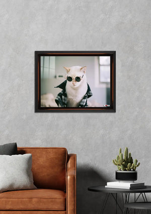 Hipster Kedi: Gözlük ve Gömlek