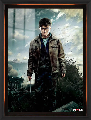 Hogwarts Savaşı: Harry Potter