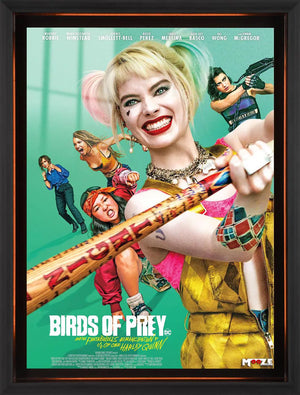 Kaosun Takımı: Harley ve Arkadaşları