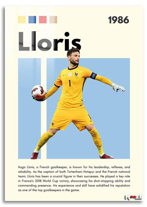Kaptan Lloris: Fransa İstatistik