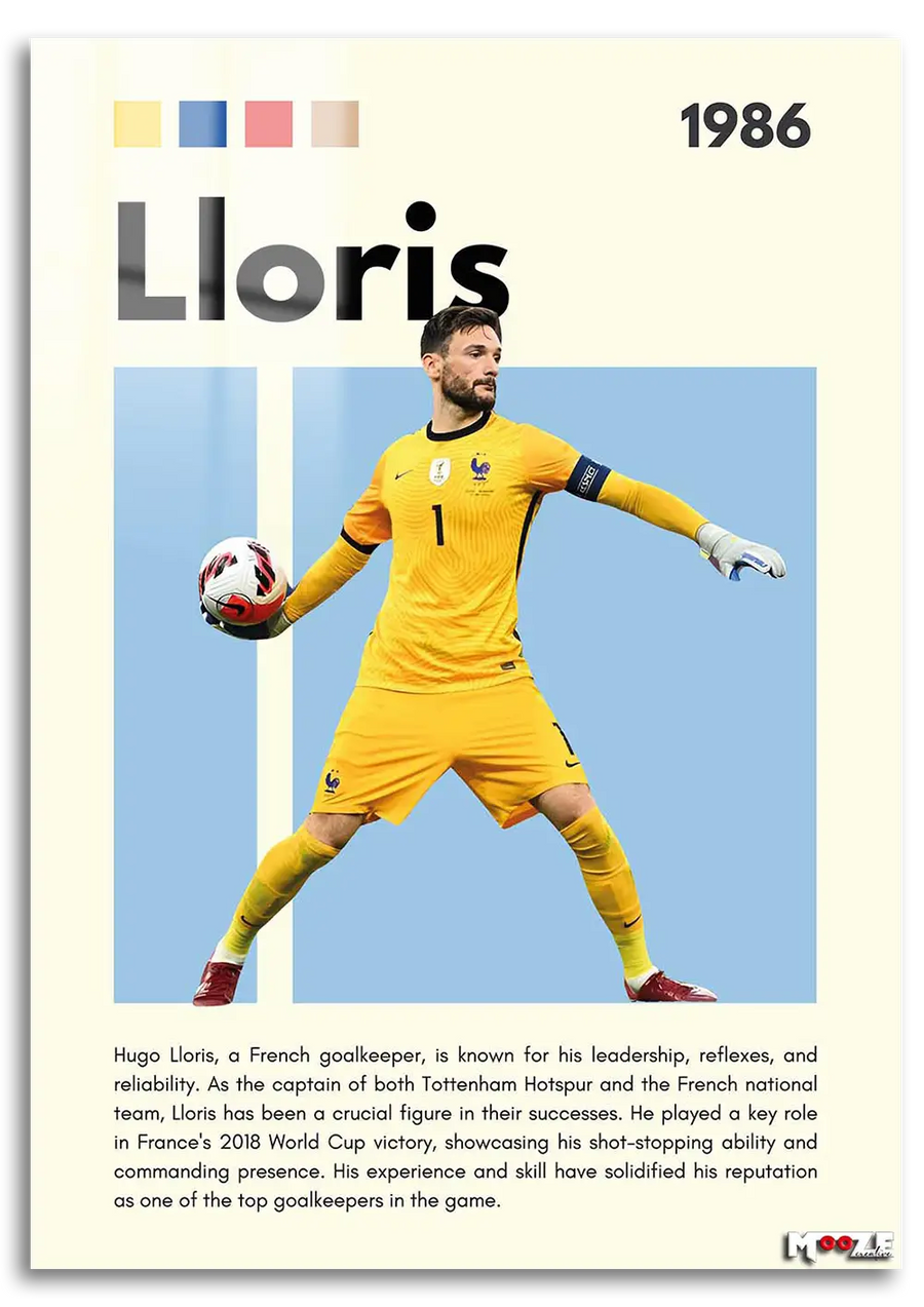 Kaptan Lloris: Fransa İstatistik