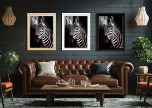 Karanlık Zebra: Aydınlık Çizgiler