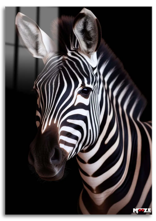 Karanlık Zebra: Aydınlık Çizgiler