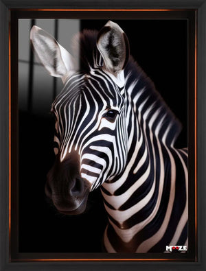Karanlık Zebra: Aydınlık Çizgiler
