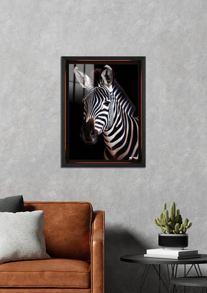 Karanlık Zebra: Aydınlık Çizgiler