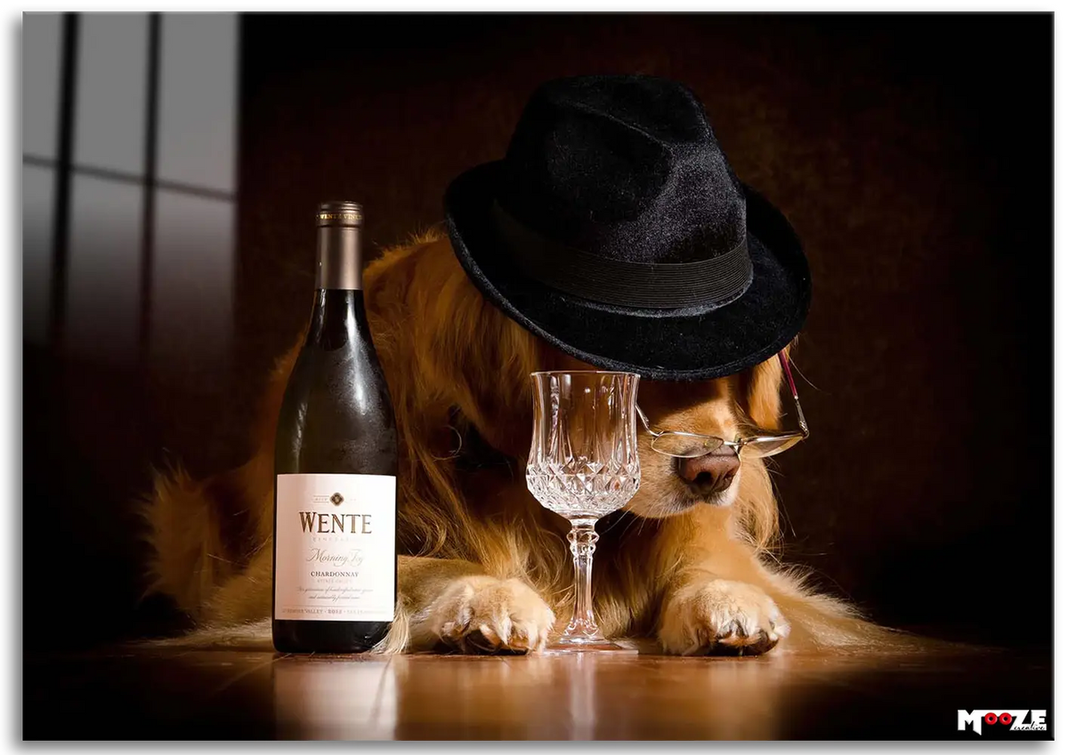 Keyif Köpeği: Golden & Şarap Magnet